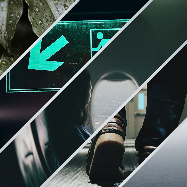 An aesthetic for Delayed Flight that is a series of photographs, including a wet leaf, an exit sign, a woman looking out an airplane window, a man walking, and fog over water.