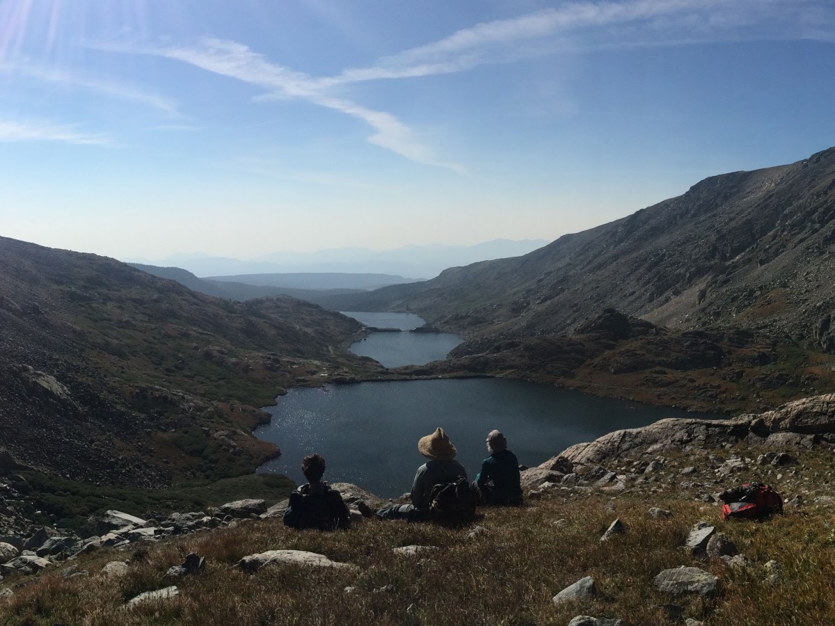 Diversity begets diversity in the&nbsp;alpine
