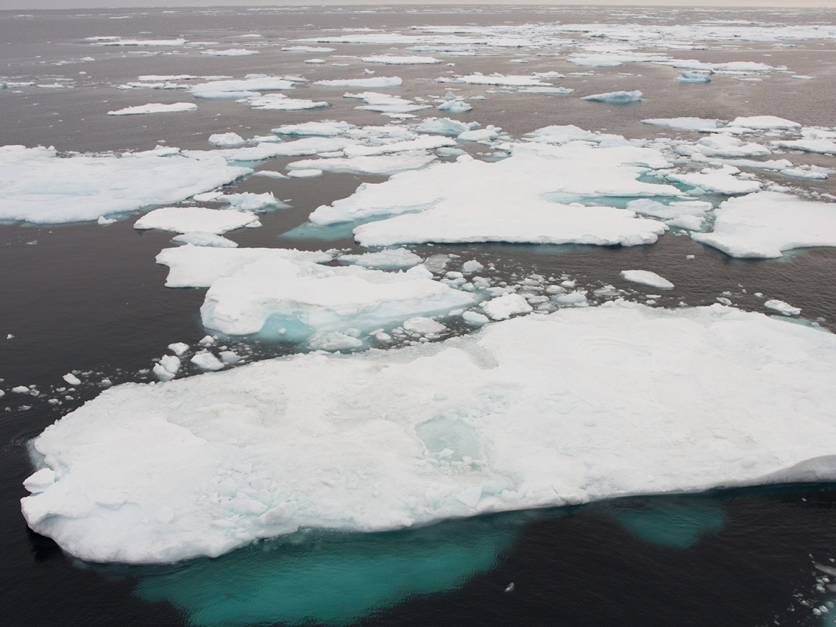 Smoke from Western wildfires can influence Arctic sea ice, researchers&nbsp;find